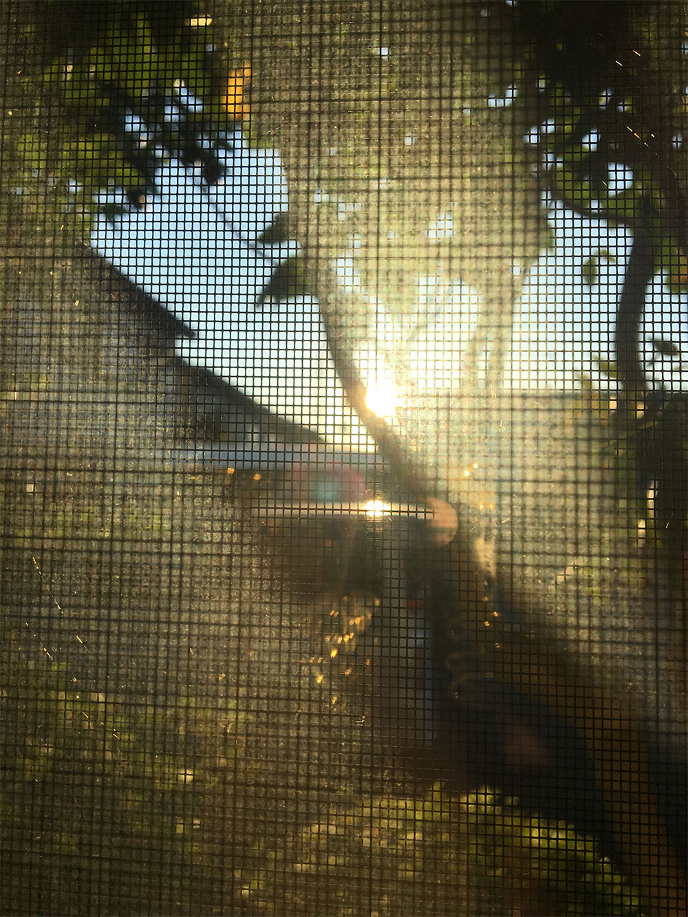 燃える夏