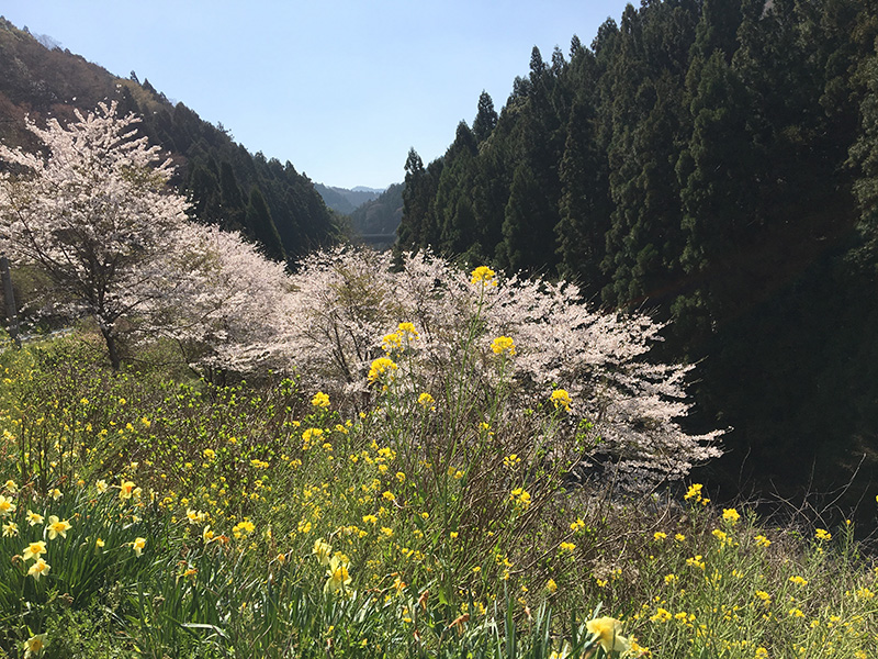 楽器がなくても