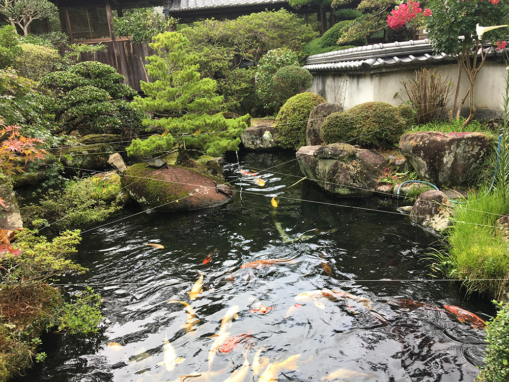 39番札所 赤亀山 寺山院 延光寺