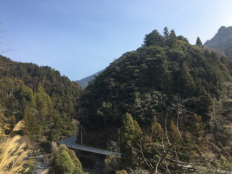 御殿に続く花の道