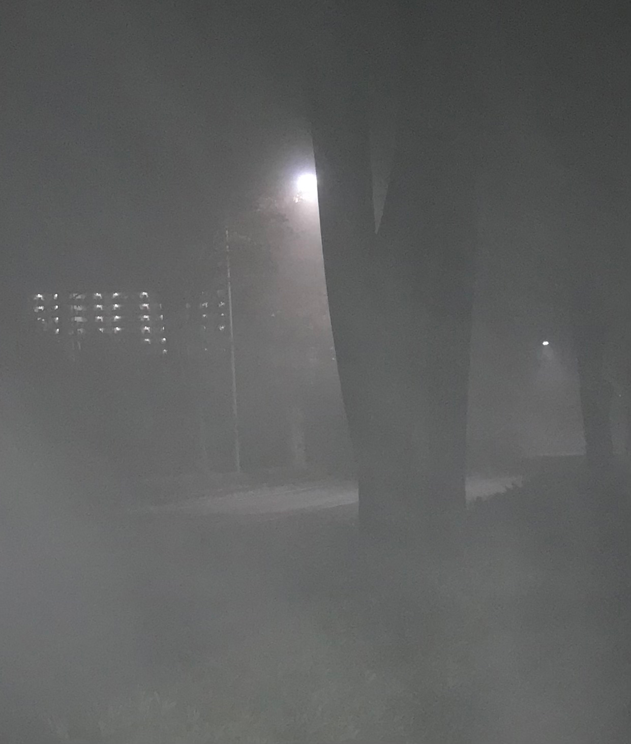 濃霧の夜