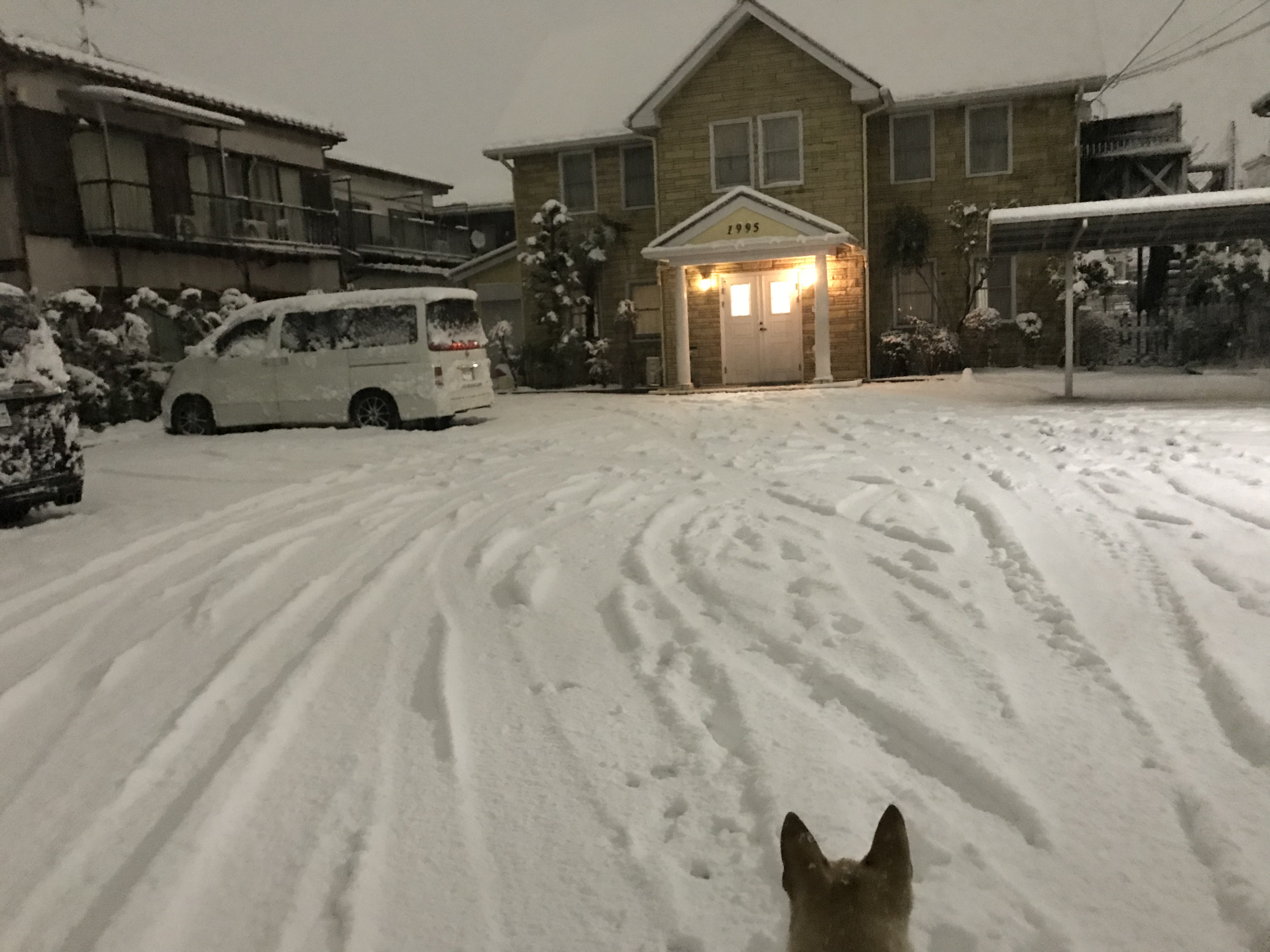 銀色の夜